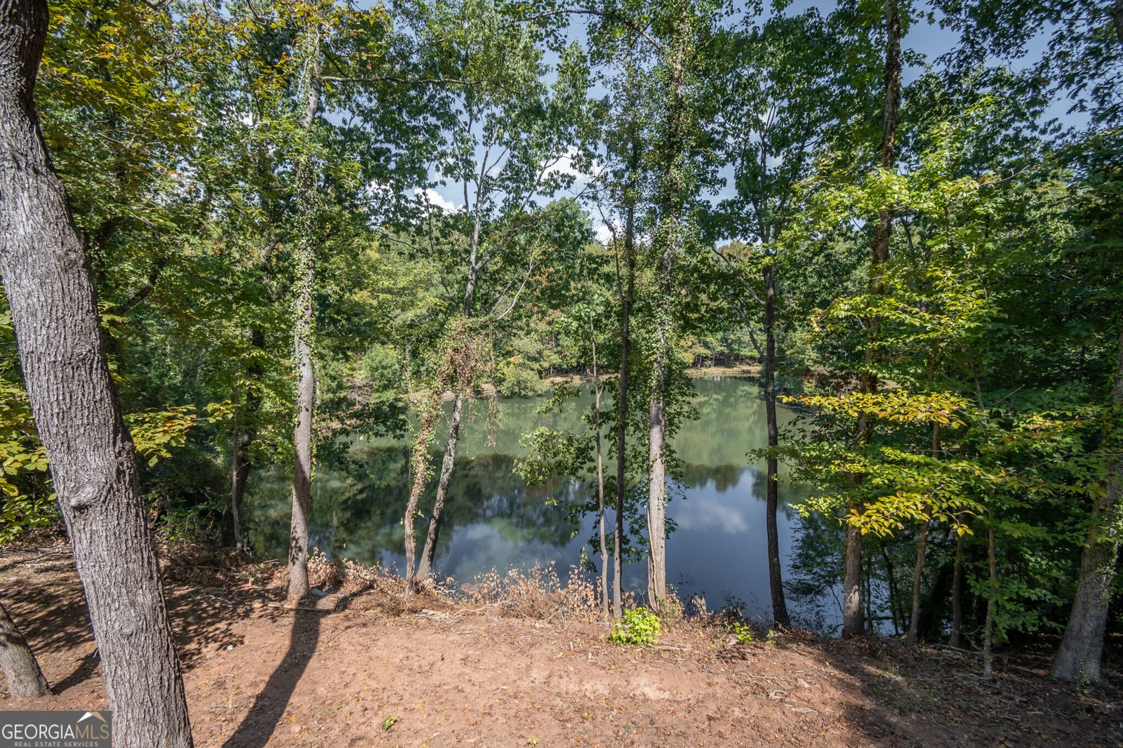 160 Lake Forest Drive ATHENS - Photo 68