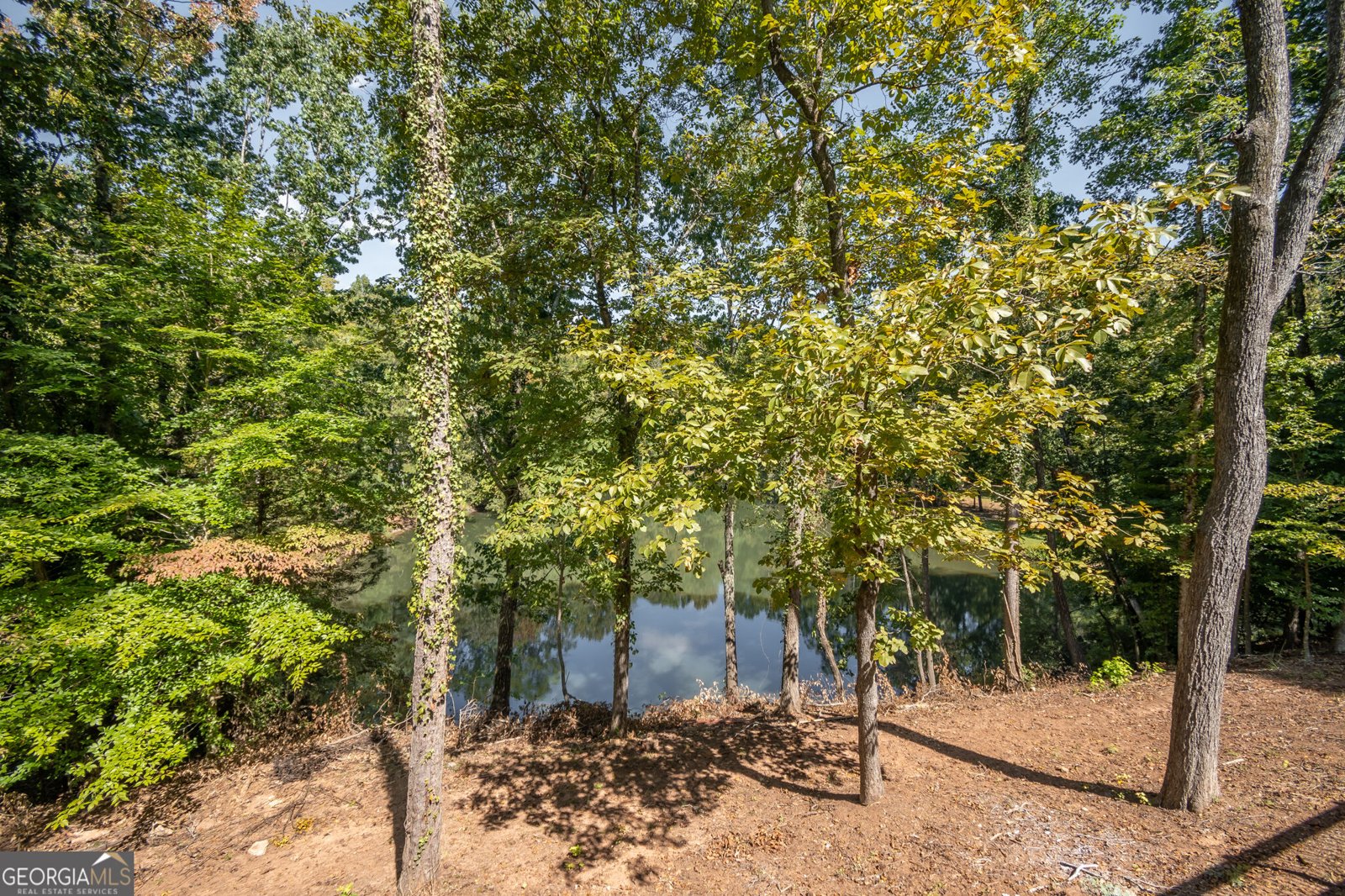 160 Lake Forest Drive ATHENS - Photo 69