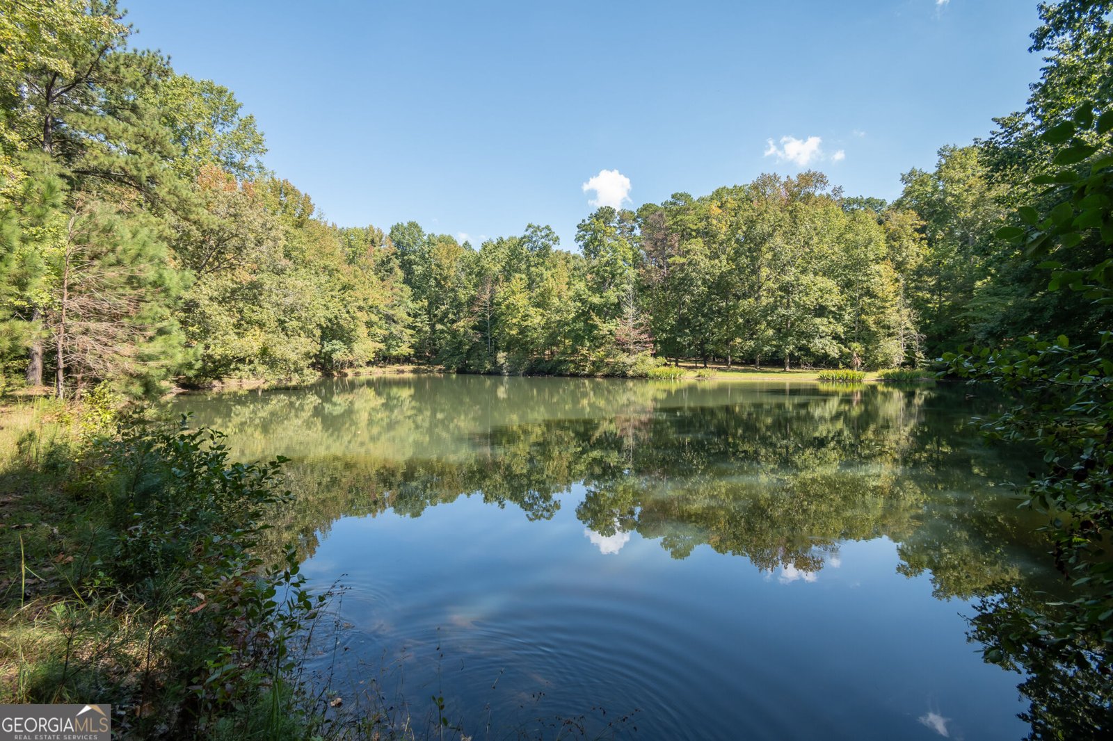 160 Lake Forest Drive ATHENS - Photo 70