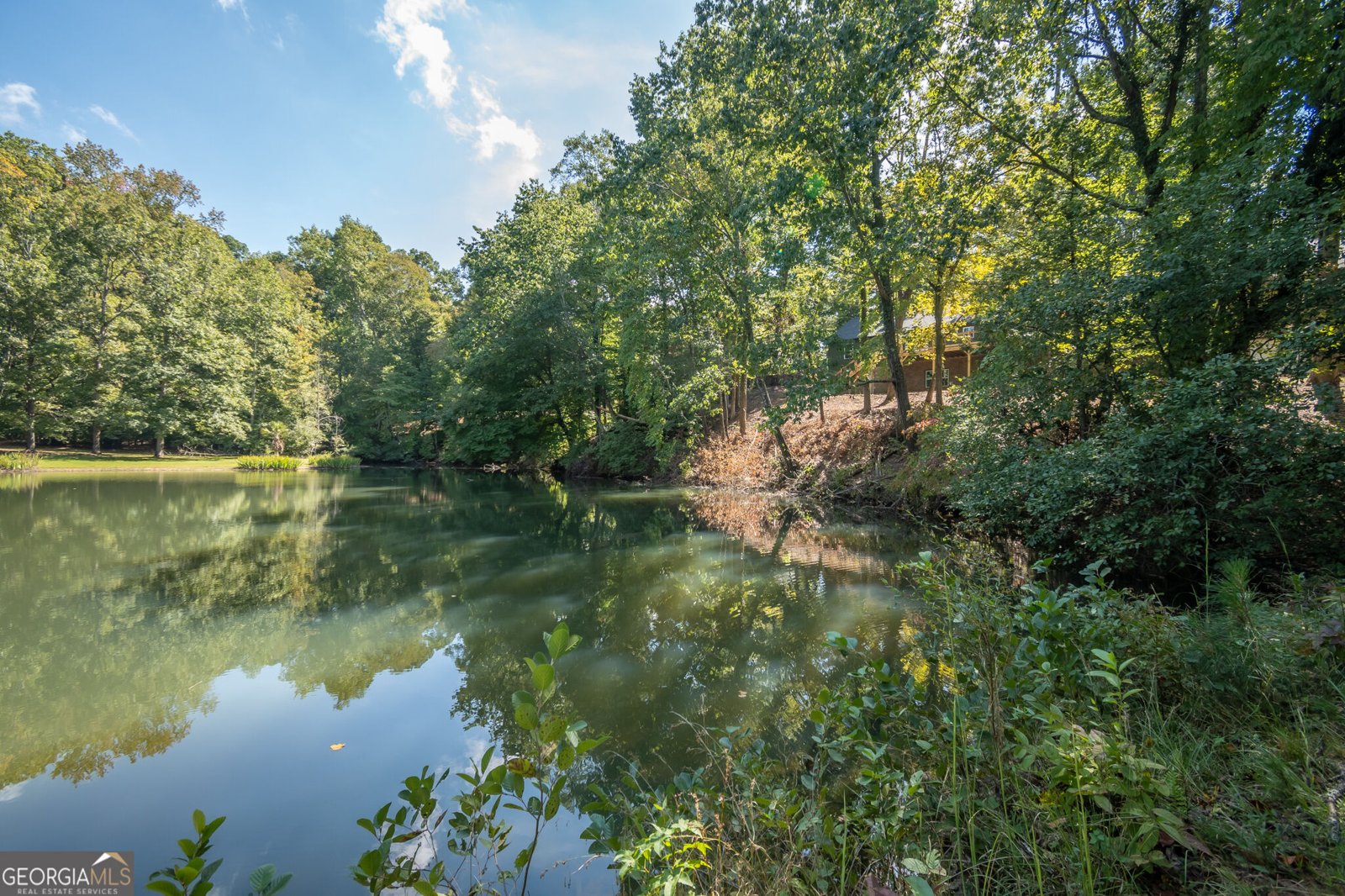 160 Lake Forest Drive ATHENS - Photo 71