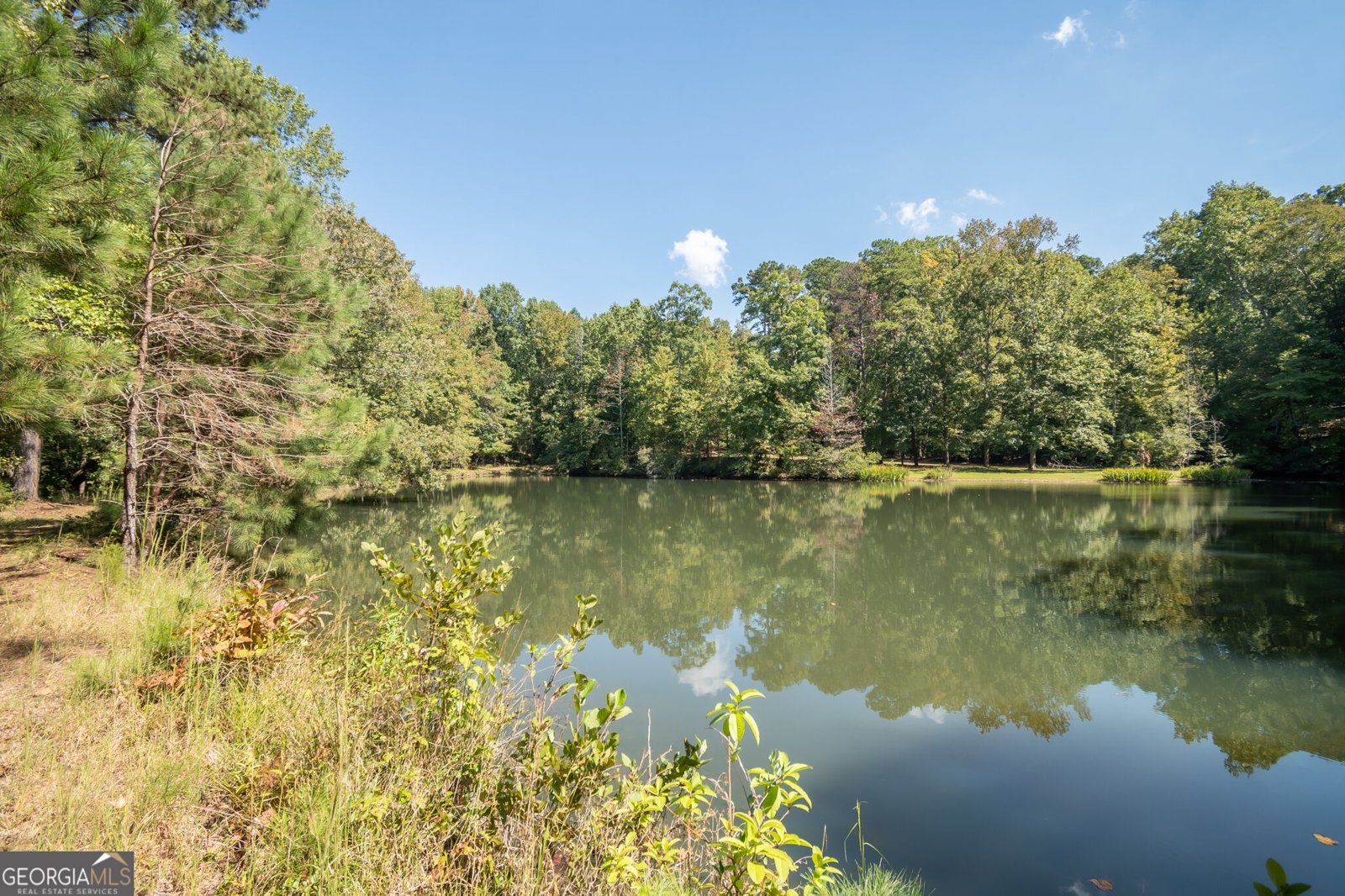 160 Lake Forest Drive ATHENS - Photo 72