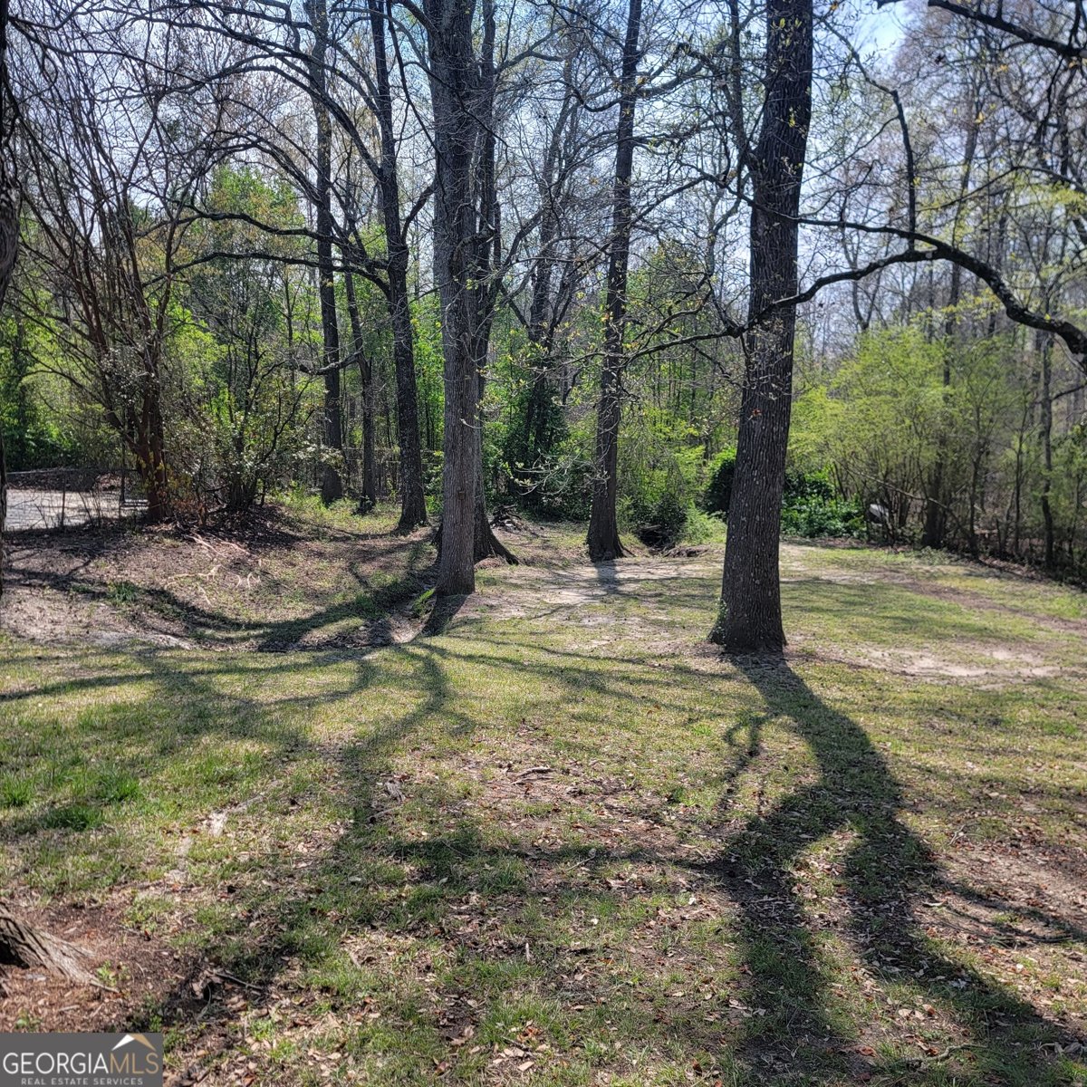 118 Meadows Court Hiram - Photo 20