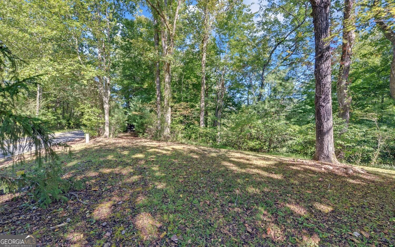 910 Hells Hollow Road Blue Ridge - Photo 34