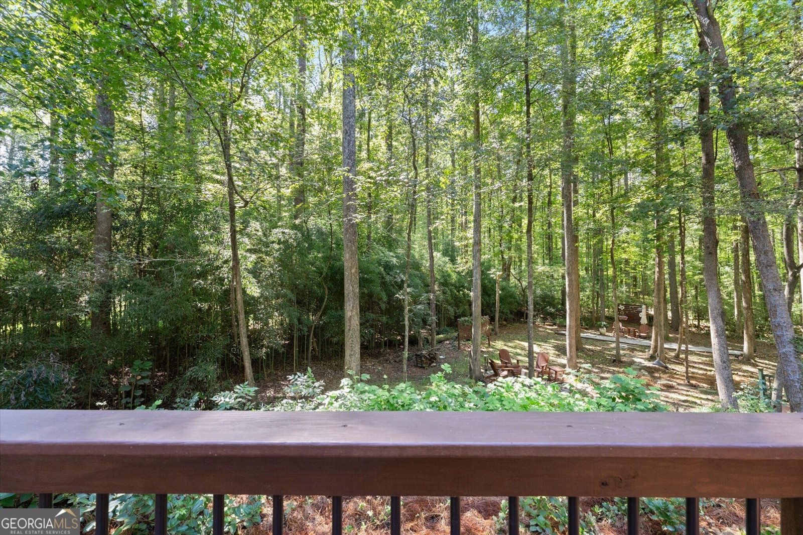 250 Spring Creek Road Roswell - Photo 56