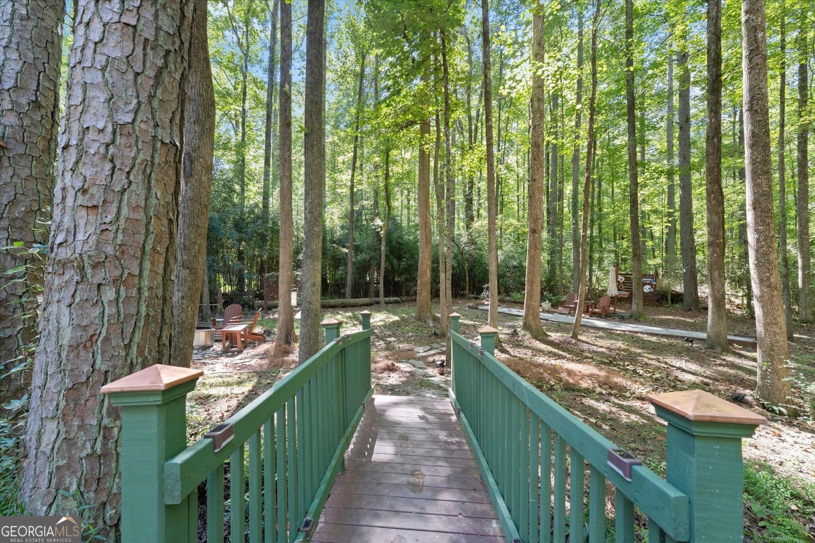 250 Spring Creek Road Roswell - Photo 63