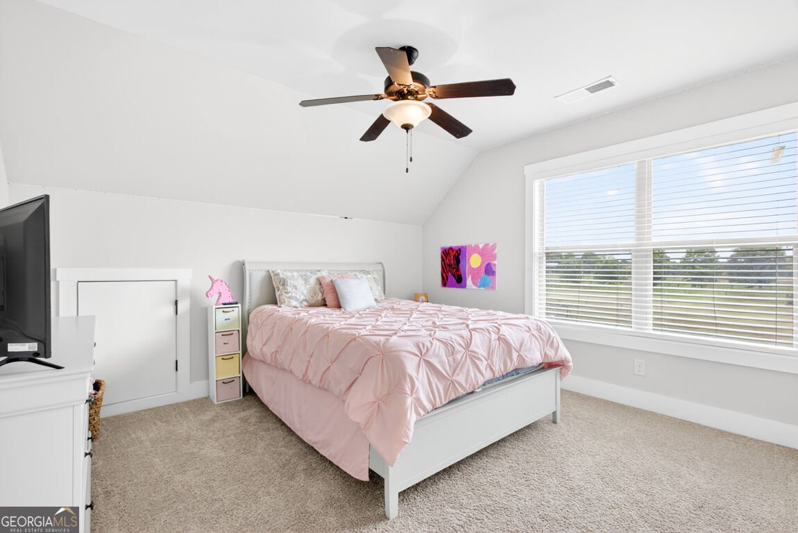 448 Rabbit Run Good Hope - Photo 25