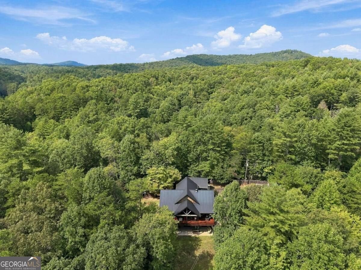 2124 Maxwell Road Blue Ridge - Photo 42