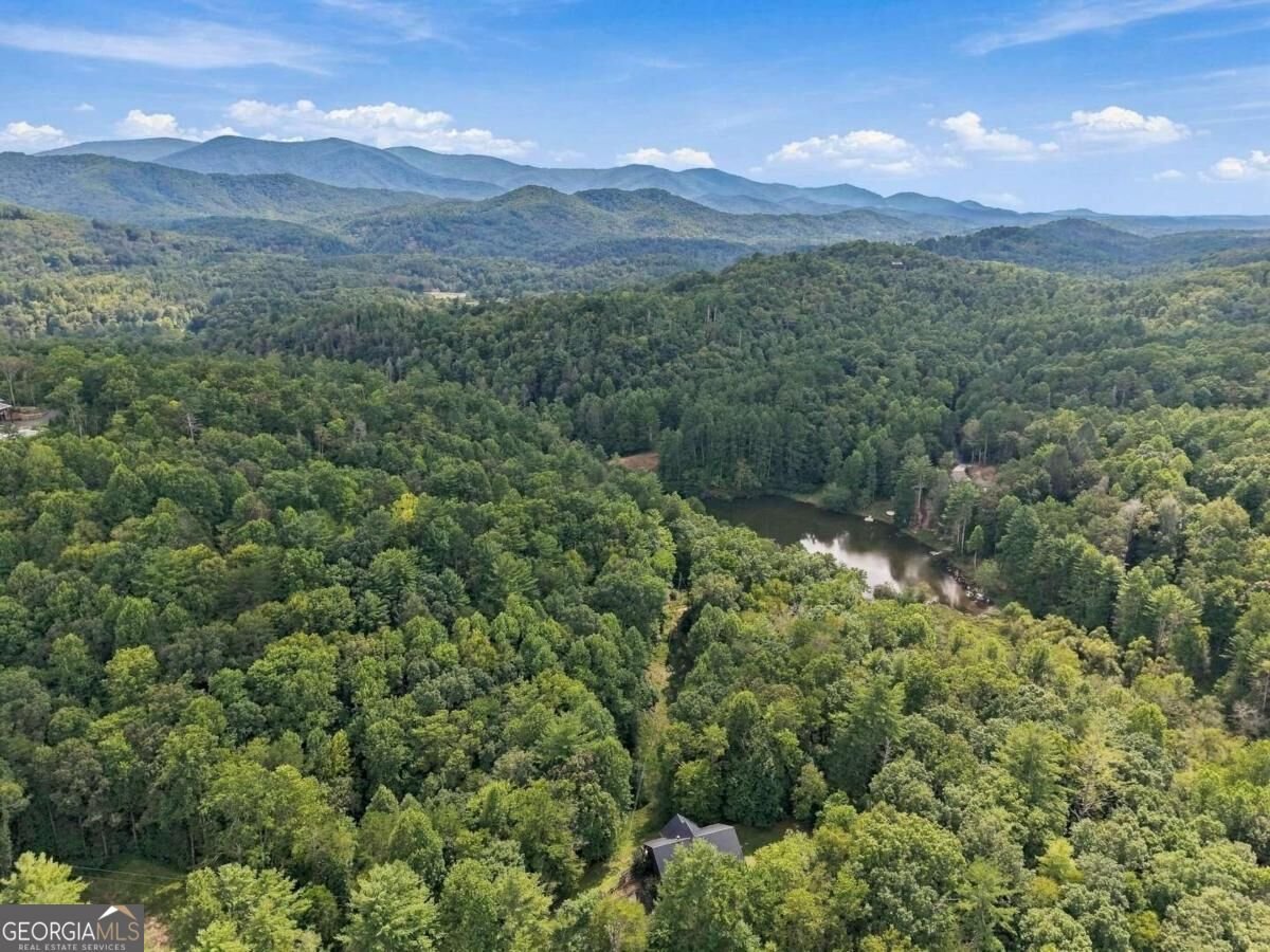 2124 Maxwell Road Blue Ridge - Photo 43