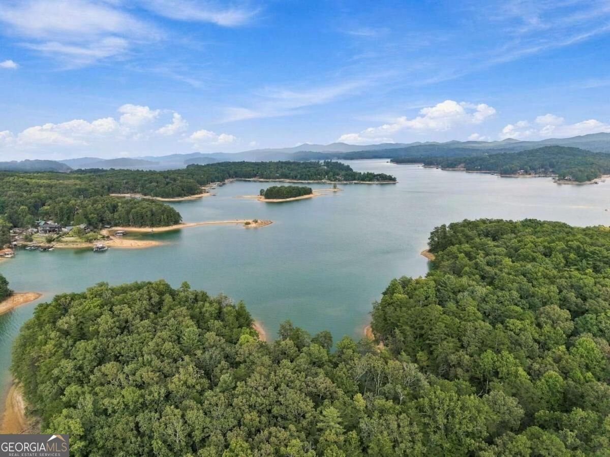 2124 Maxwell Road Blue Ridge - Photo 48
