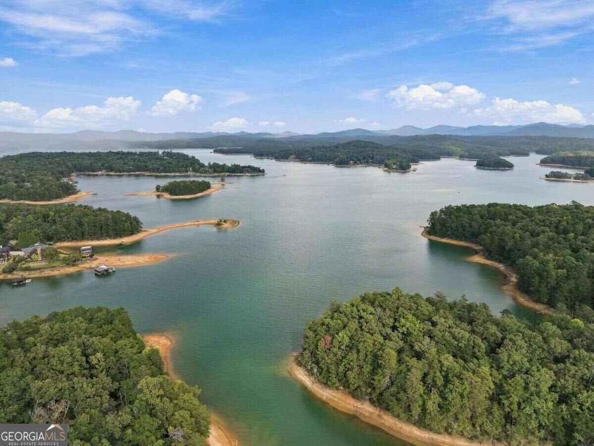 2124 Maxwell Road Blue Ridge - Photo 49