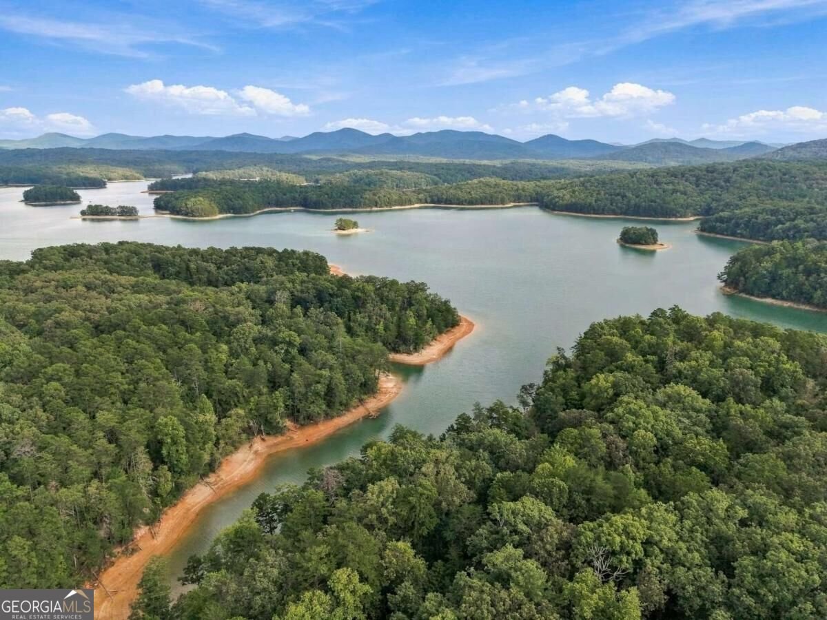 2124 Maxwell Road Blue Ridge - Photo 50