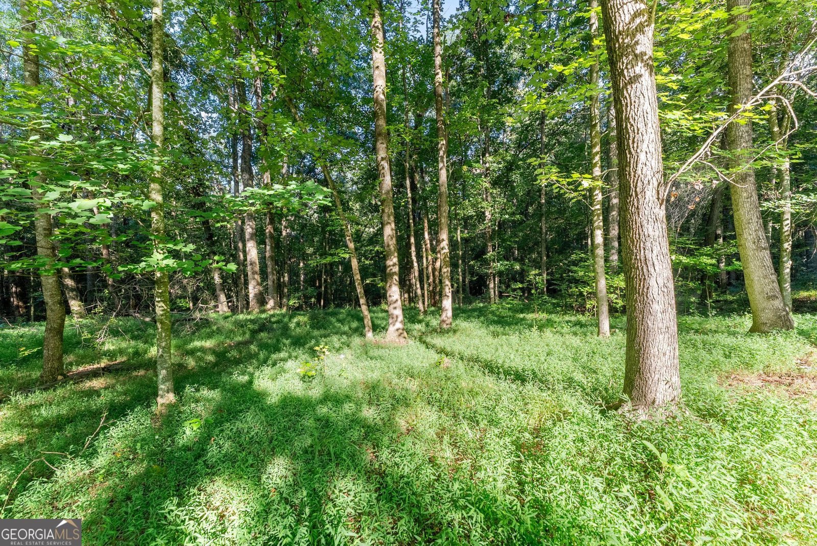 937 Sam Craven Road Cleveland - Photo 26