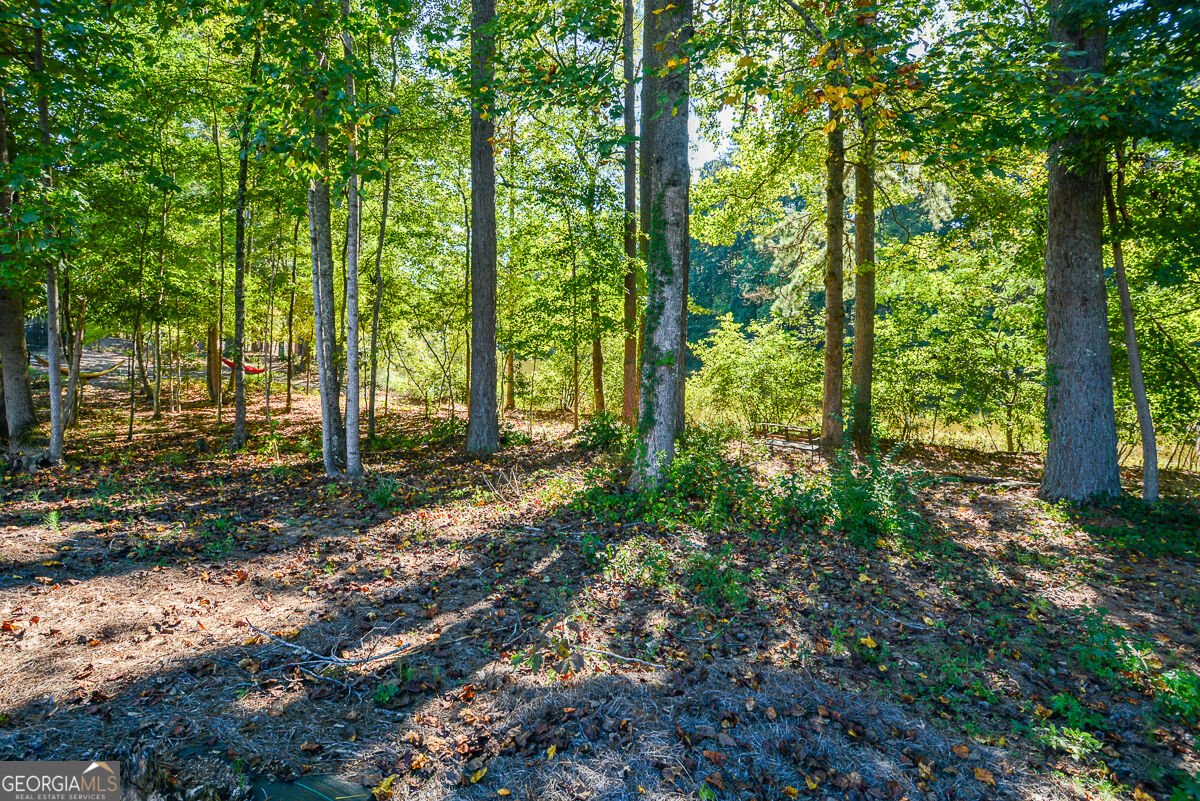 6332 Granbury Walk Acworth - Photo 72