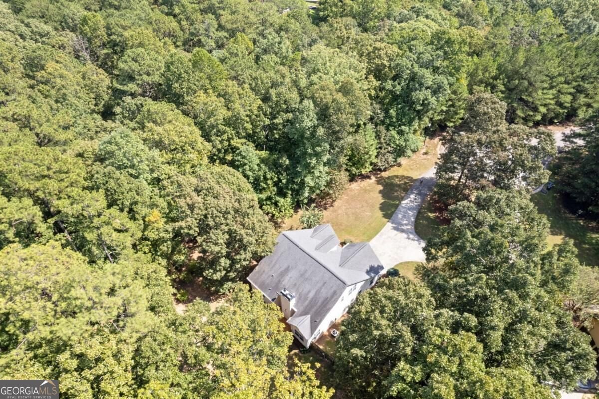 7661 Bremont Court Douglasville - Photo 42