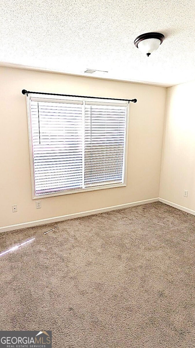 1373 Danby Court Douglasville - Photo 10