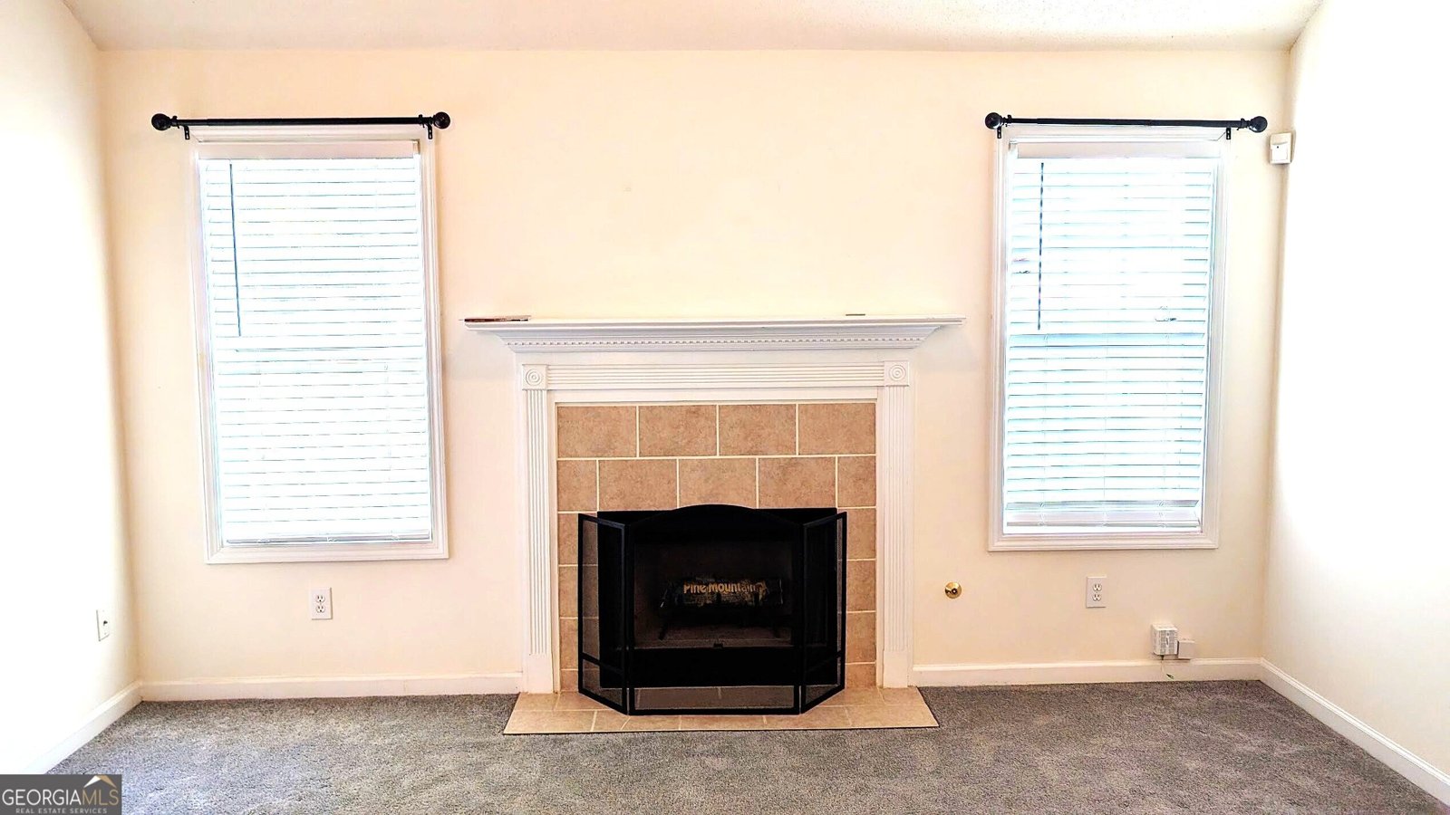 1373 Danby Court Douglasville - Photo 13