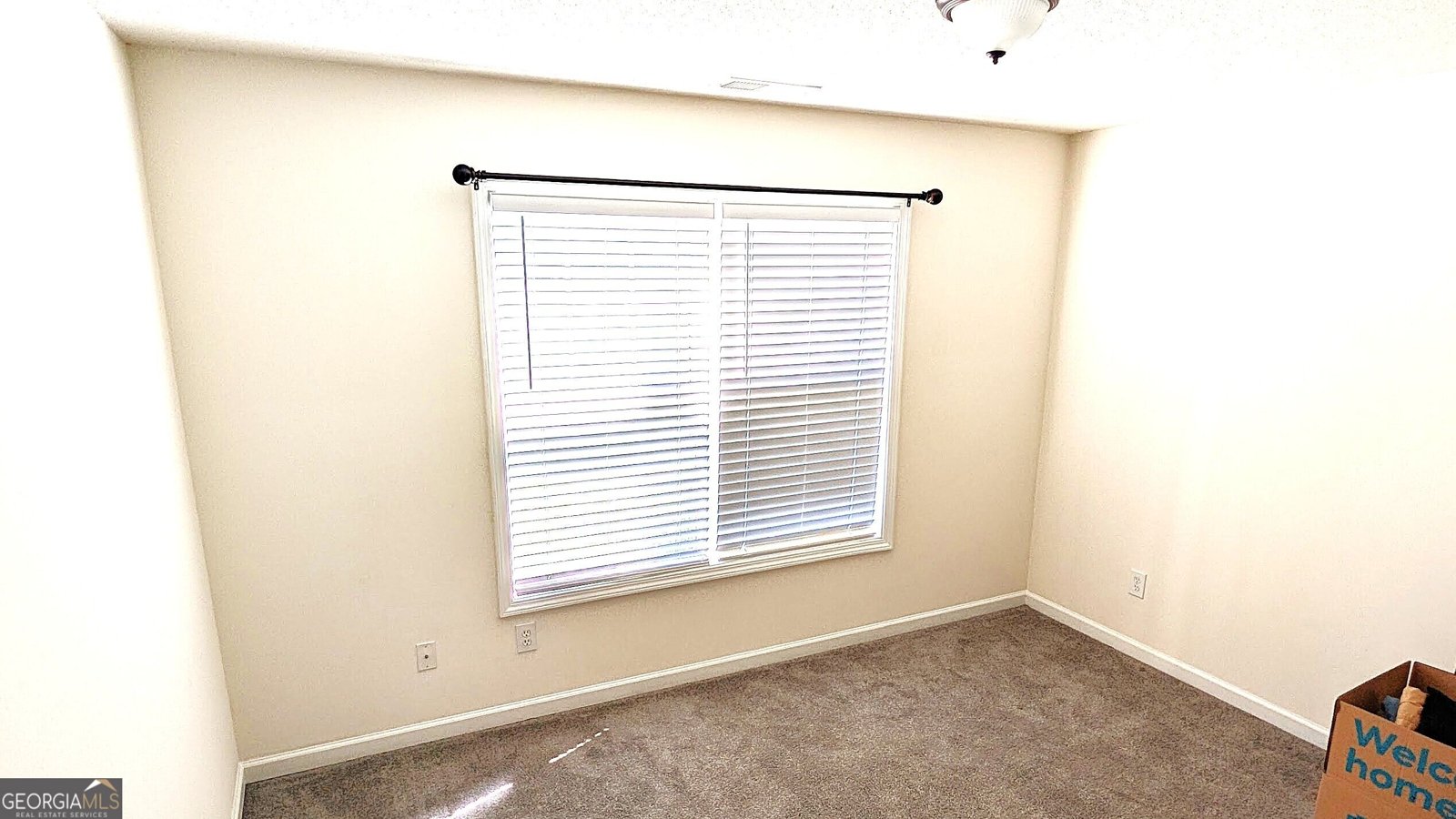 1373 Danby Court Douglasville - Photo 9
