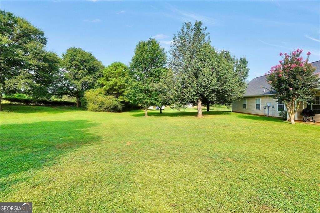 1130 Larkspur Drive Locust Grove - Photo 32