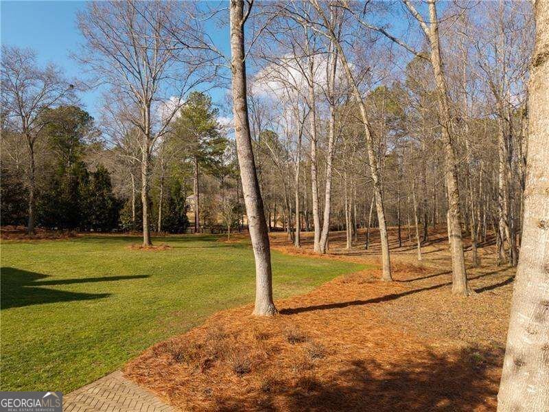 210 Etowah Landing Ball Ground - Photo 66