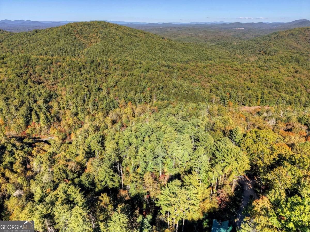 LT 123 Bell Camp Ridge Road Blue Ridge - Photo 11