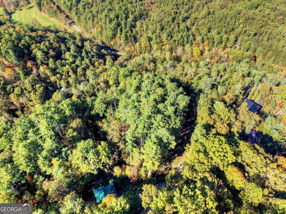 LT 123 Bell Camp Ridge Road Blue Ridge - Photo 12