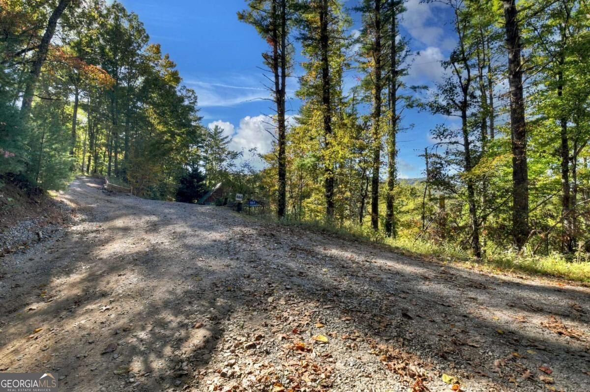 LT 123 Bell Camp Ridge Road Blue Ridge - Photo 13
