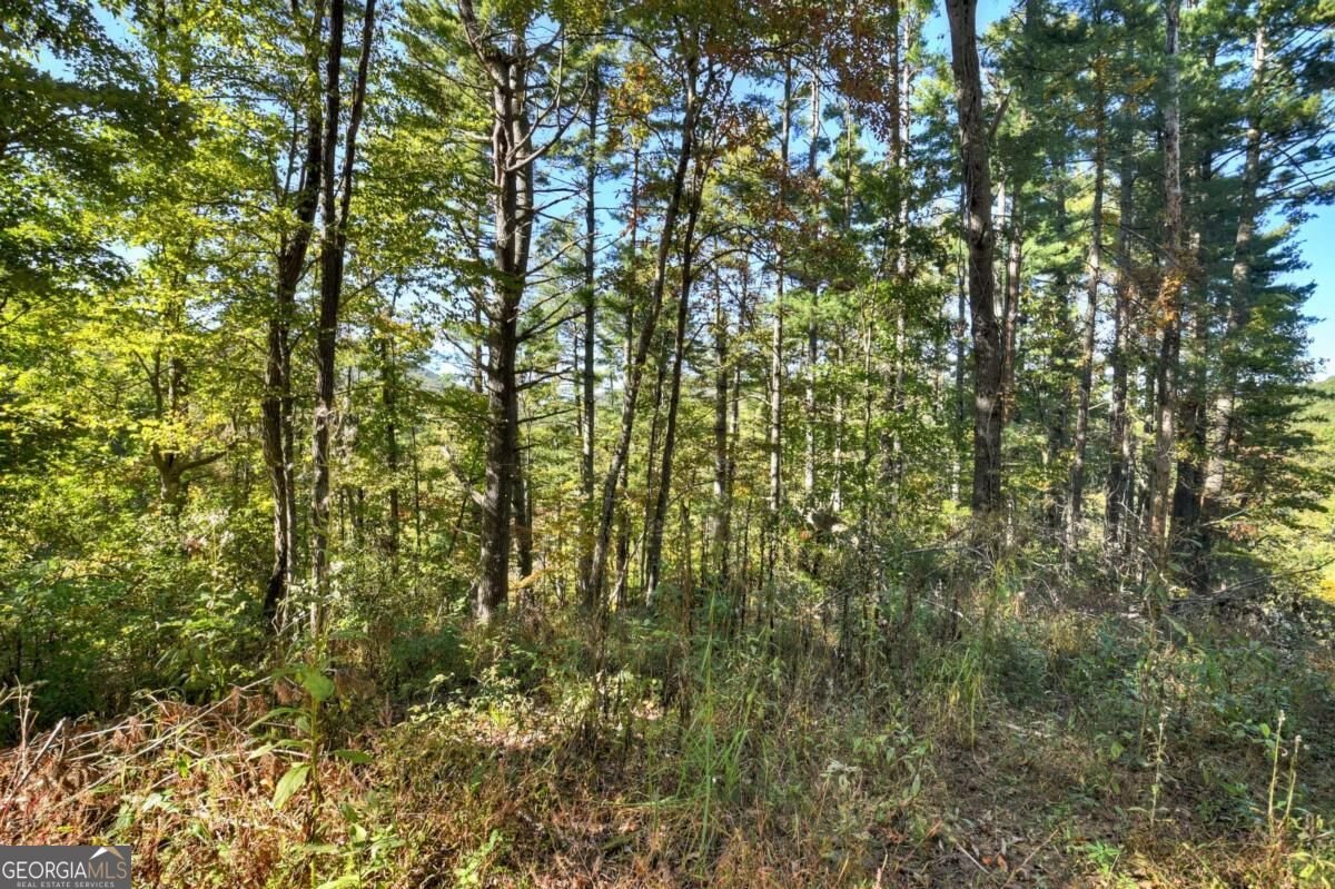 LT 123 Bell Camp Ridge Road Blue Ridge - Photo 15