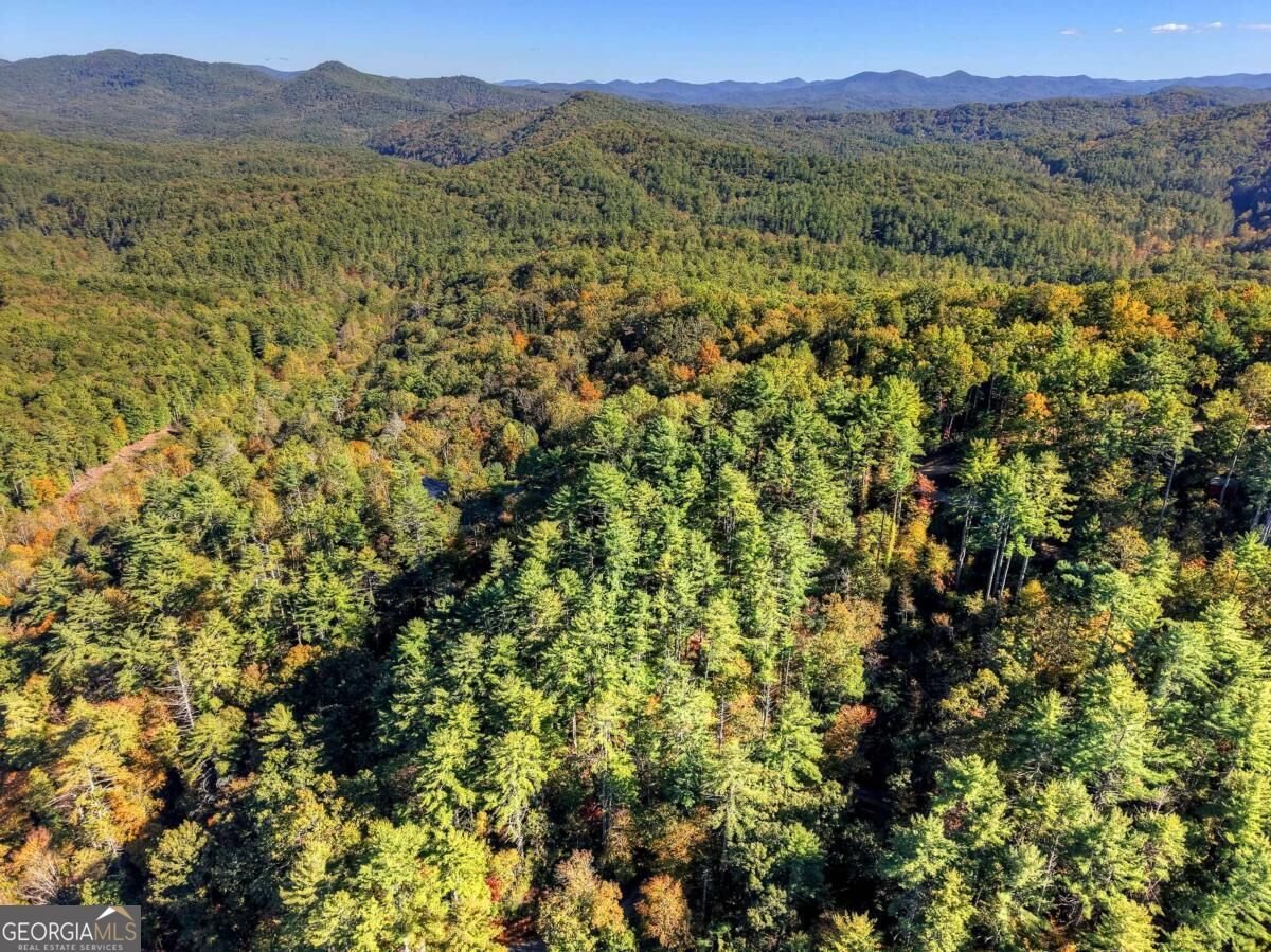 LT 123 Bell Camp Ridge Road Blue Ridge - Photo 16