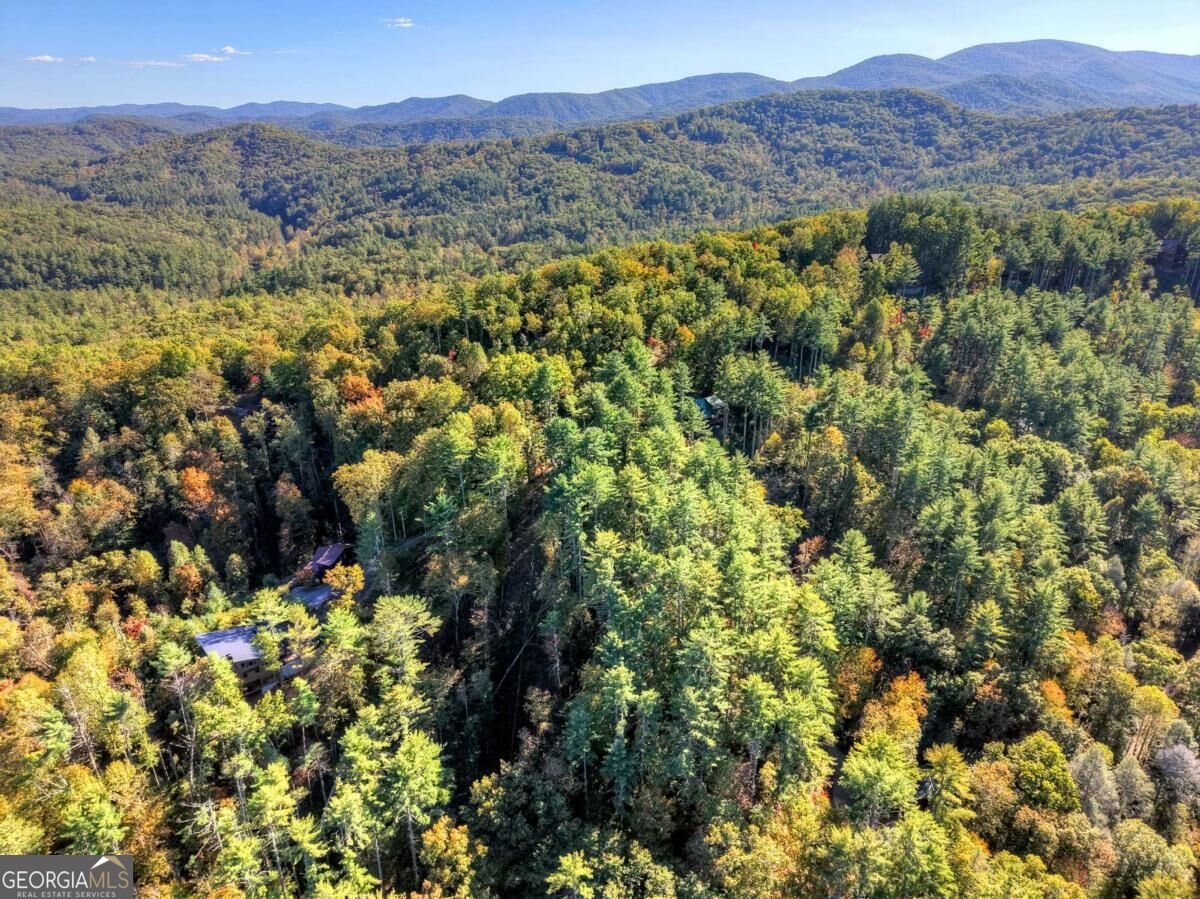 LT 123 Bell Camp Ridge Road Blue Ridge - Photo 17