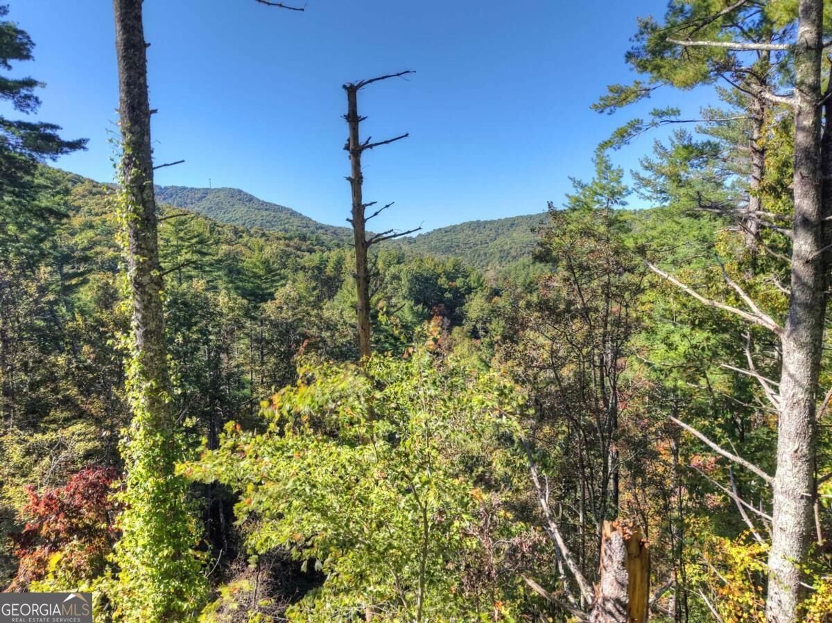 LT 123 Bell Camp Ridge Road Blue Ridge - Photo 18