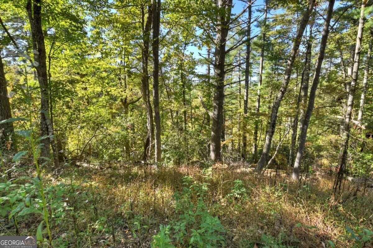 LT 123 Bell Camp Ridge Road Blue Ridge - Photo 7