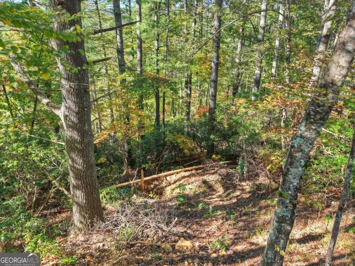 LT 123 Bell Camp Ridge Road Blue Ridge - Photo 8