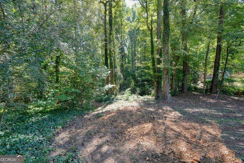 1151 Norfolk Drive Acworth - Photo 53