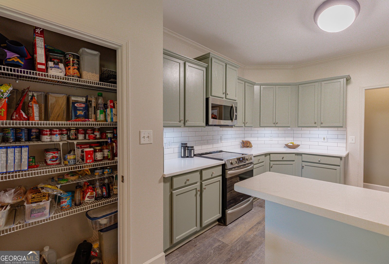 37 Mount Moriah Drive Senoia - Photo 25