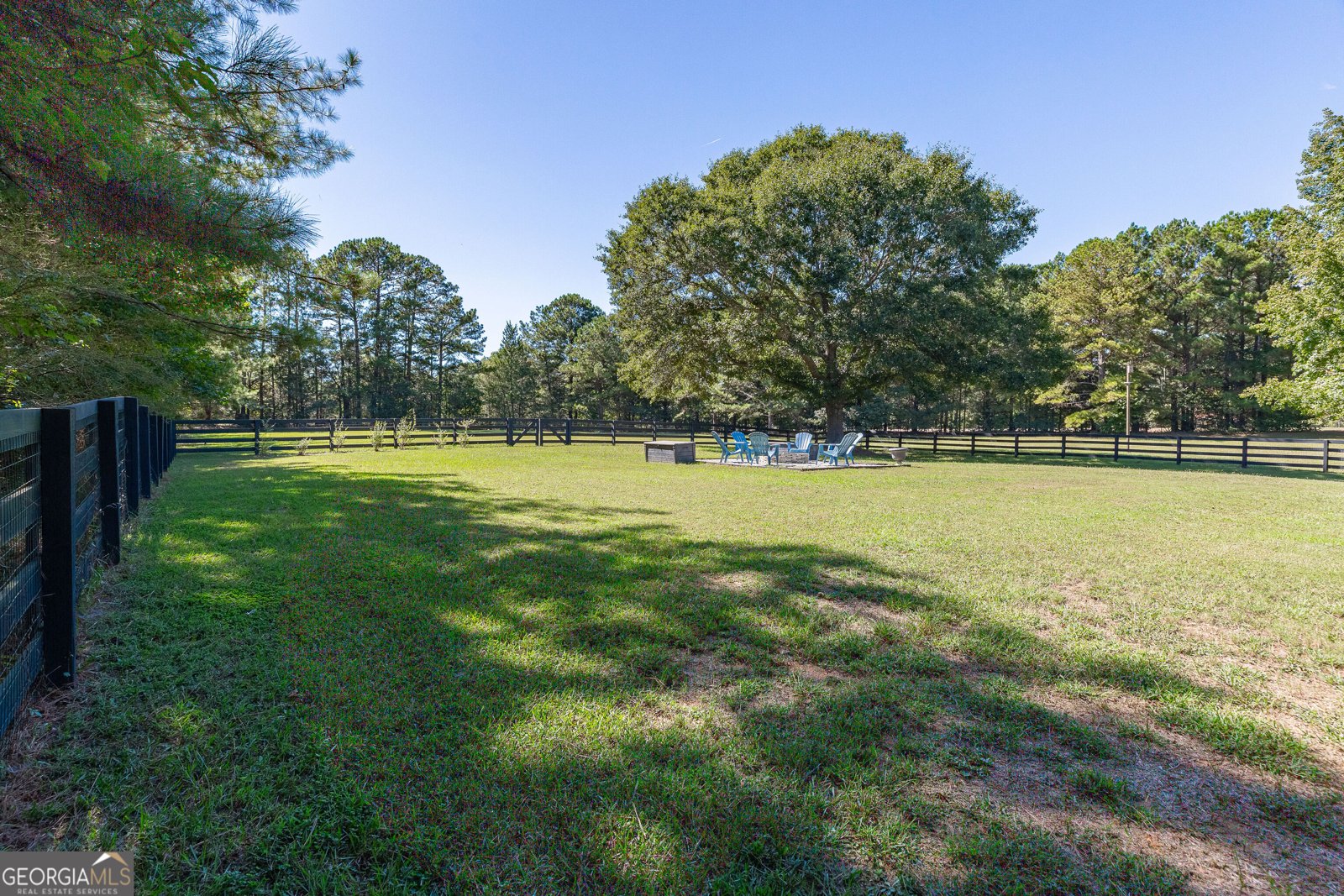 37 Mount Moriah Drive Senoia - Photo 53