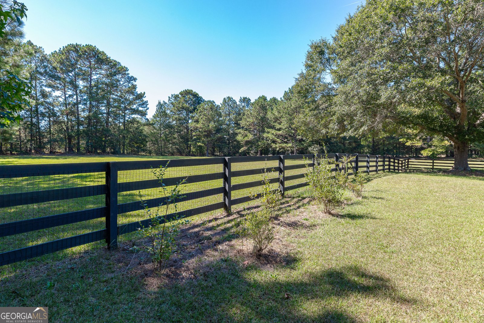 37 Mount Moriah Drive Senoia - Photo 56