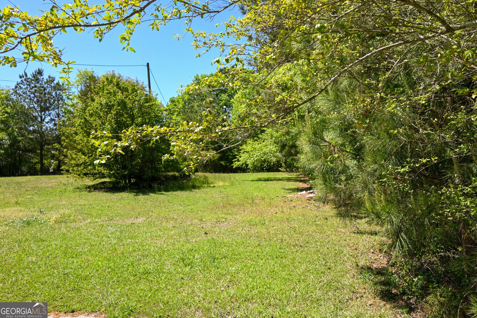 2755 Langley Road Loganville - Photo 17