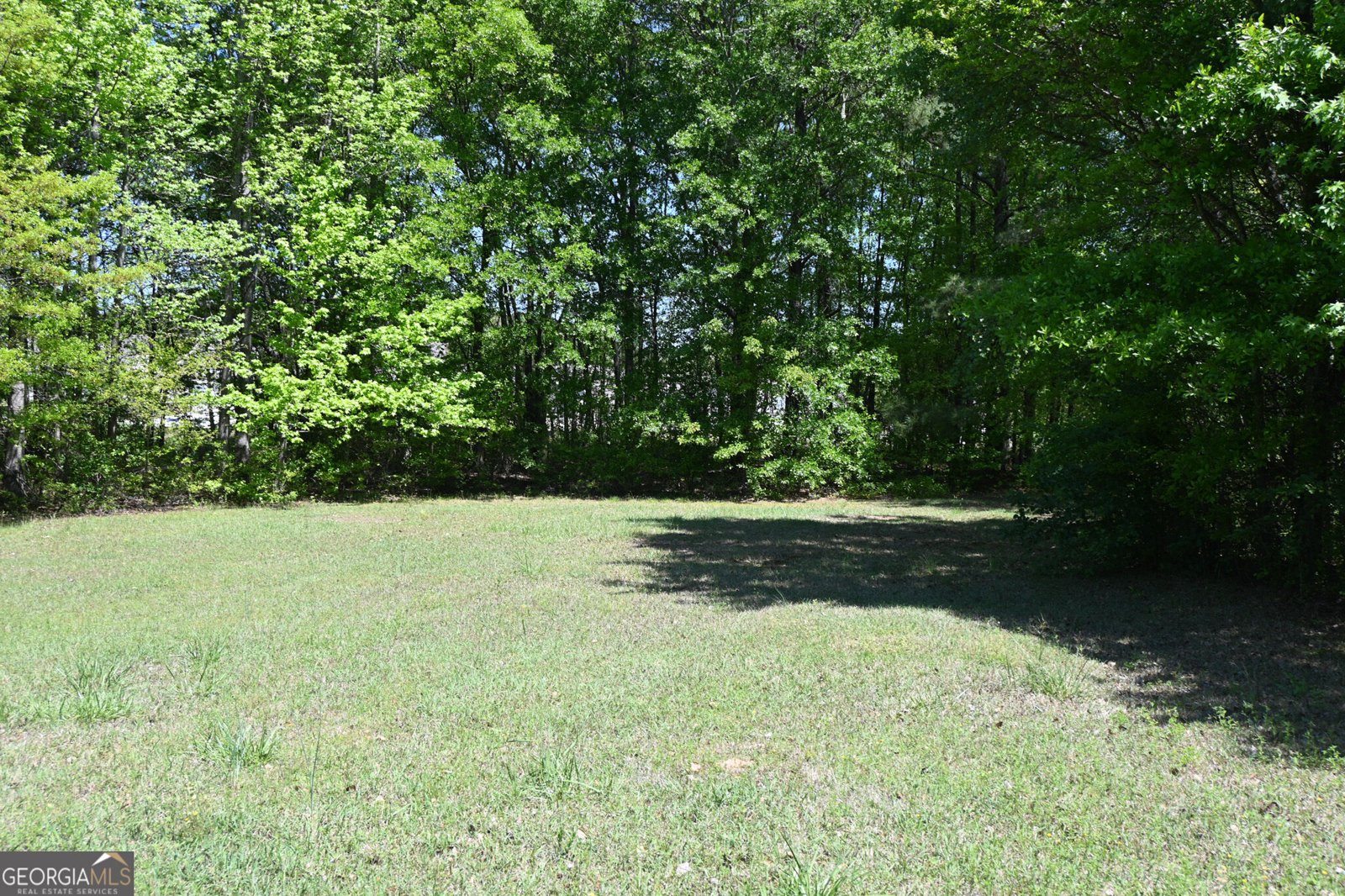 2755 Langley Road Loganville - Photo 8