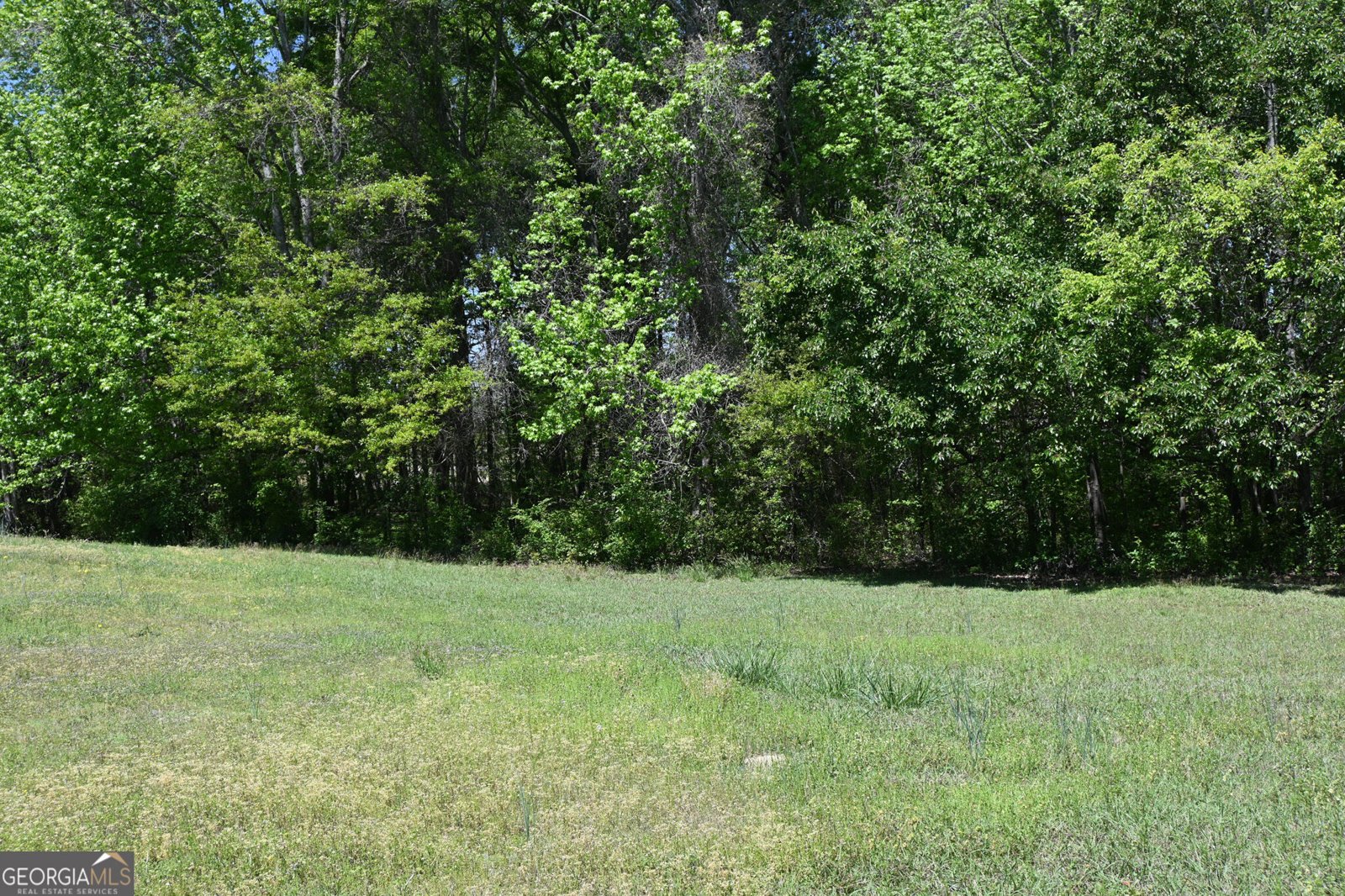 2755 Langley Road Loganville - Photo 9