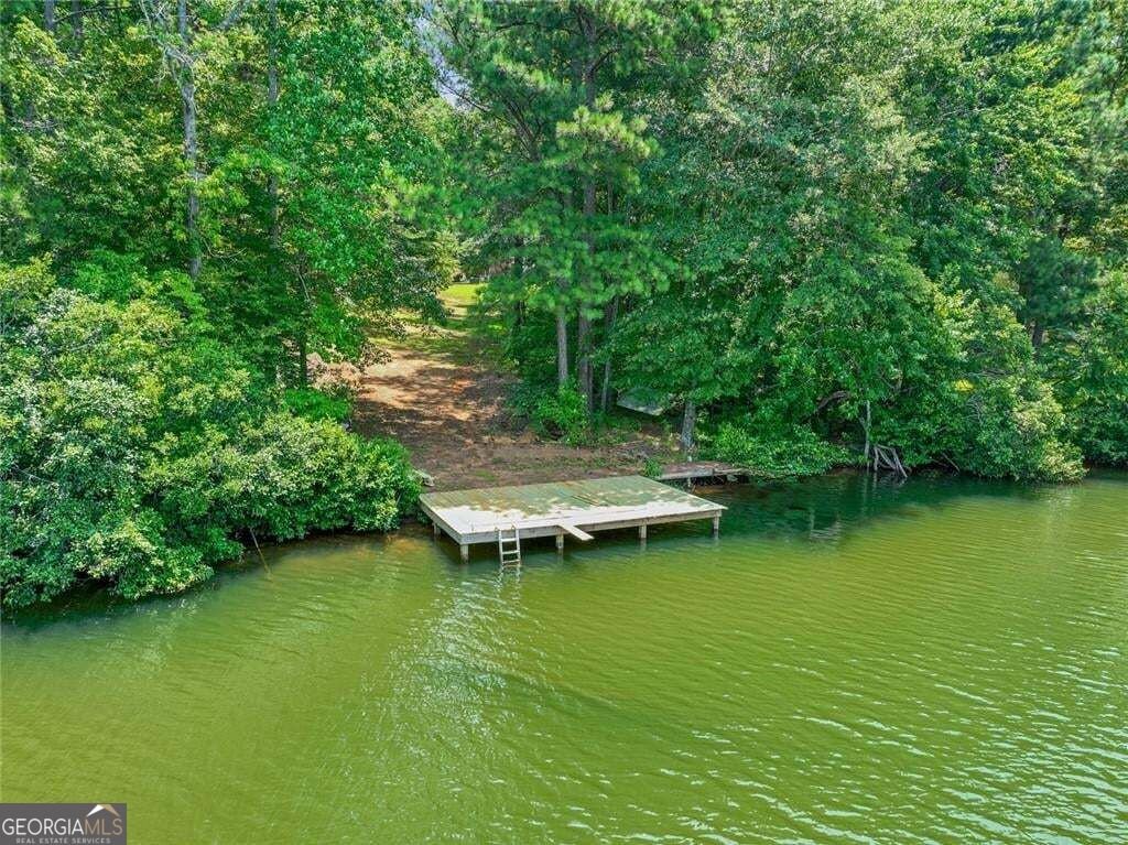 315 Monroe Drive McDonough - Photo 33