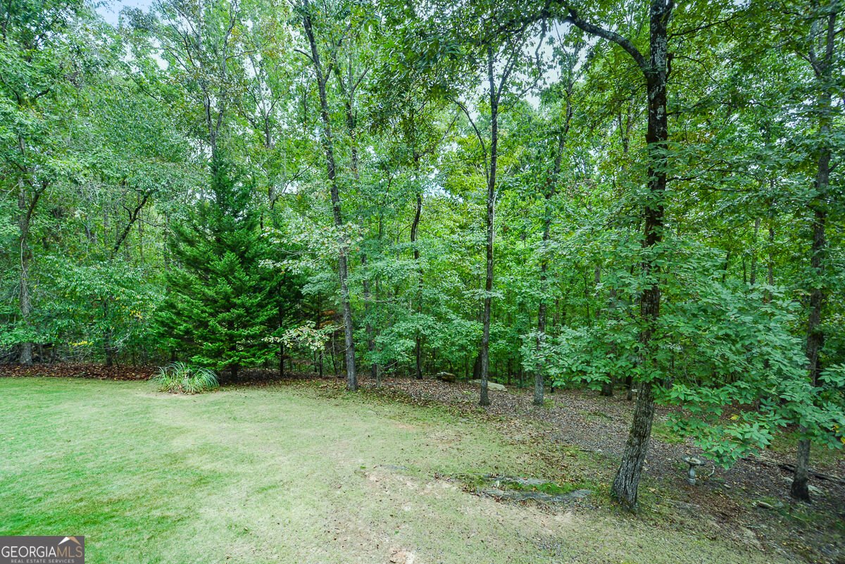 5935 Double Birch Douglasville - Photo 47