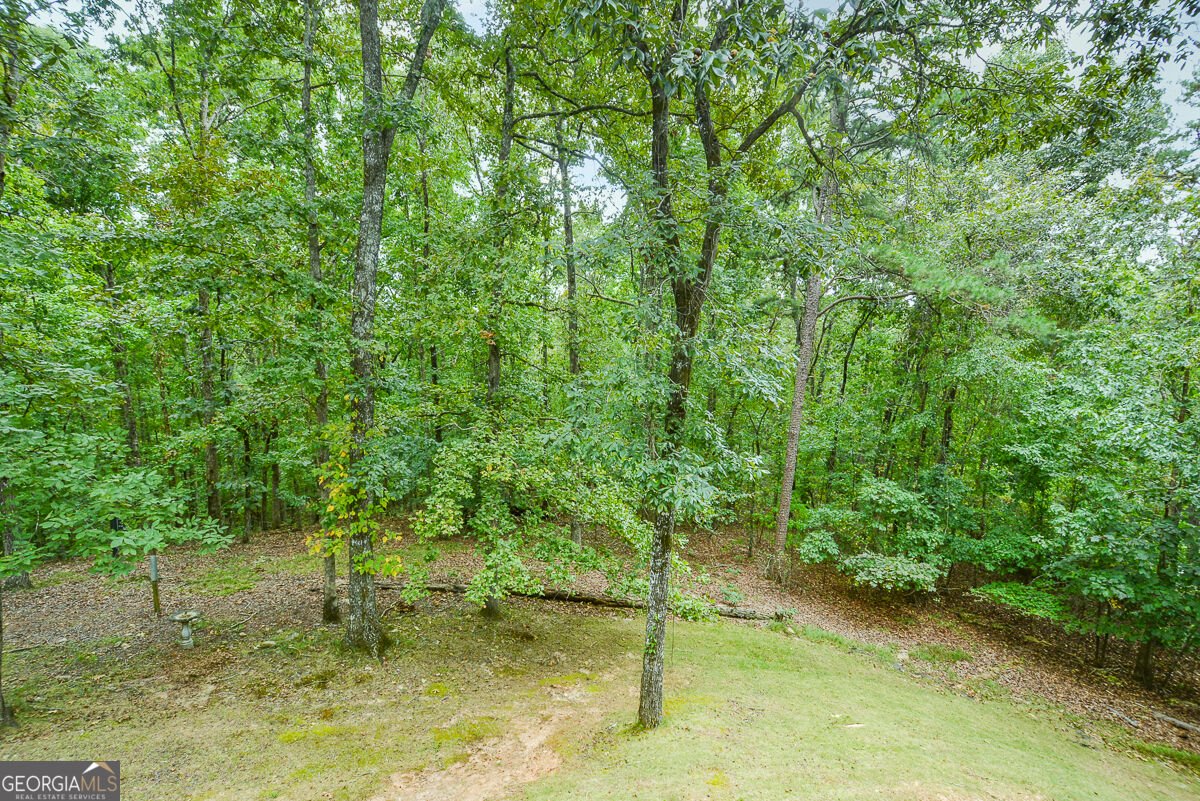 5935 Double Birch Douglasville - Photo 48