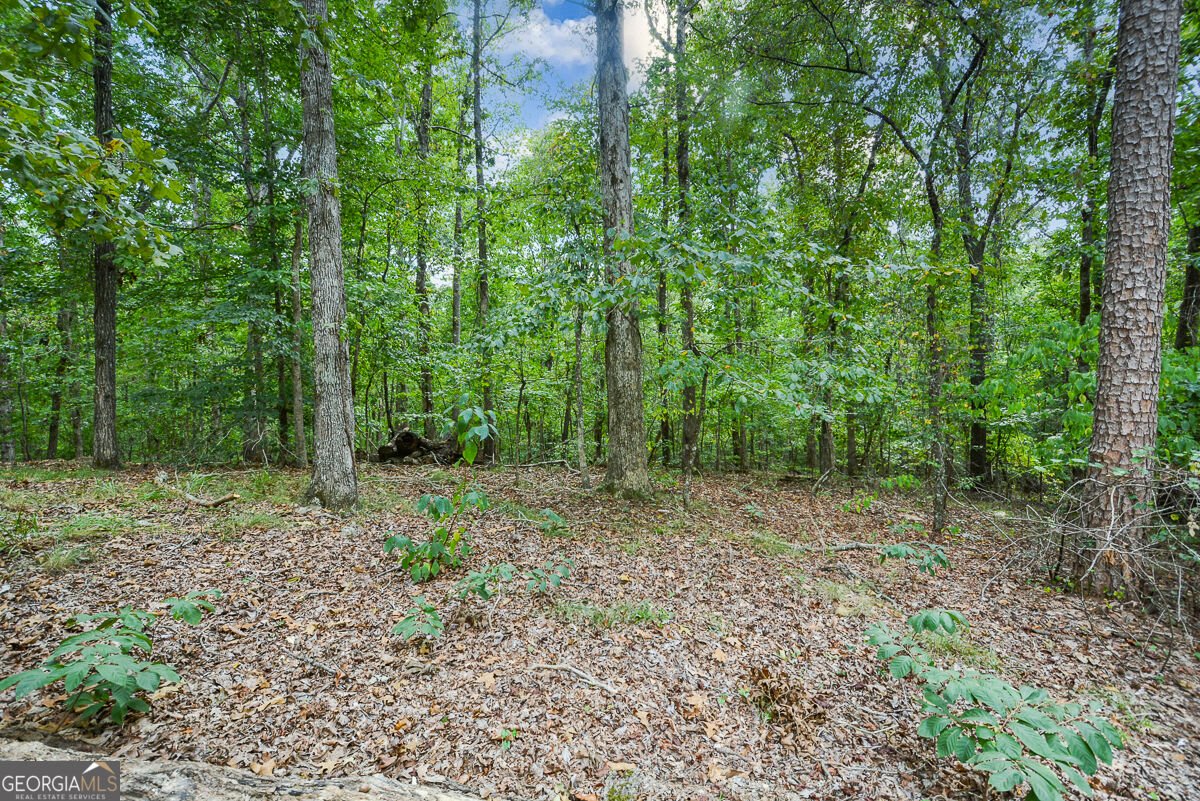 5935 Double Birch Douglasville - Photo 57