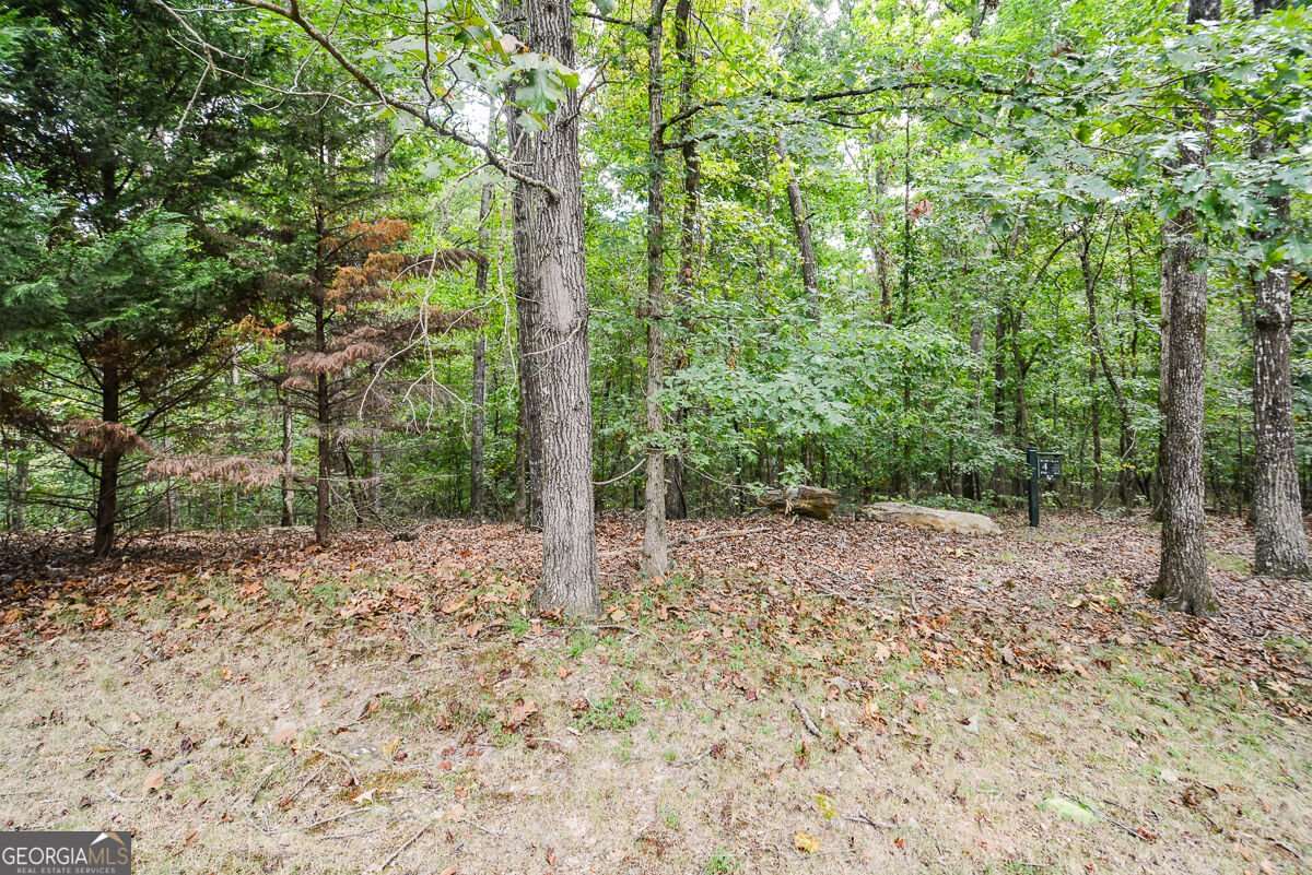 5935 Double Birch Douglasville - Photo 58