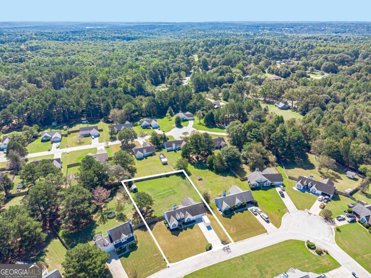 3021 Black Fox Drive Loganville - Photo 58