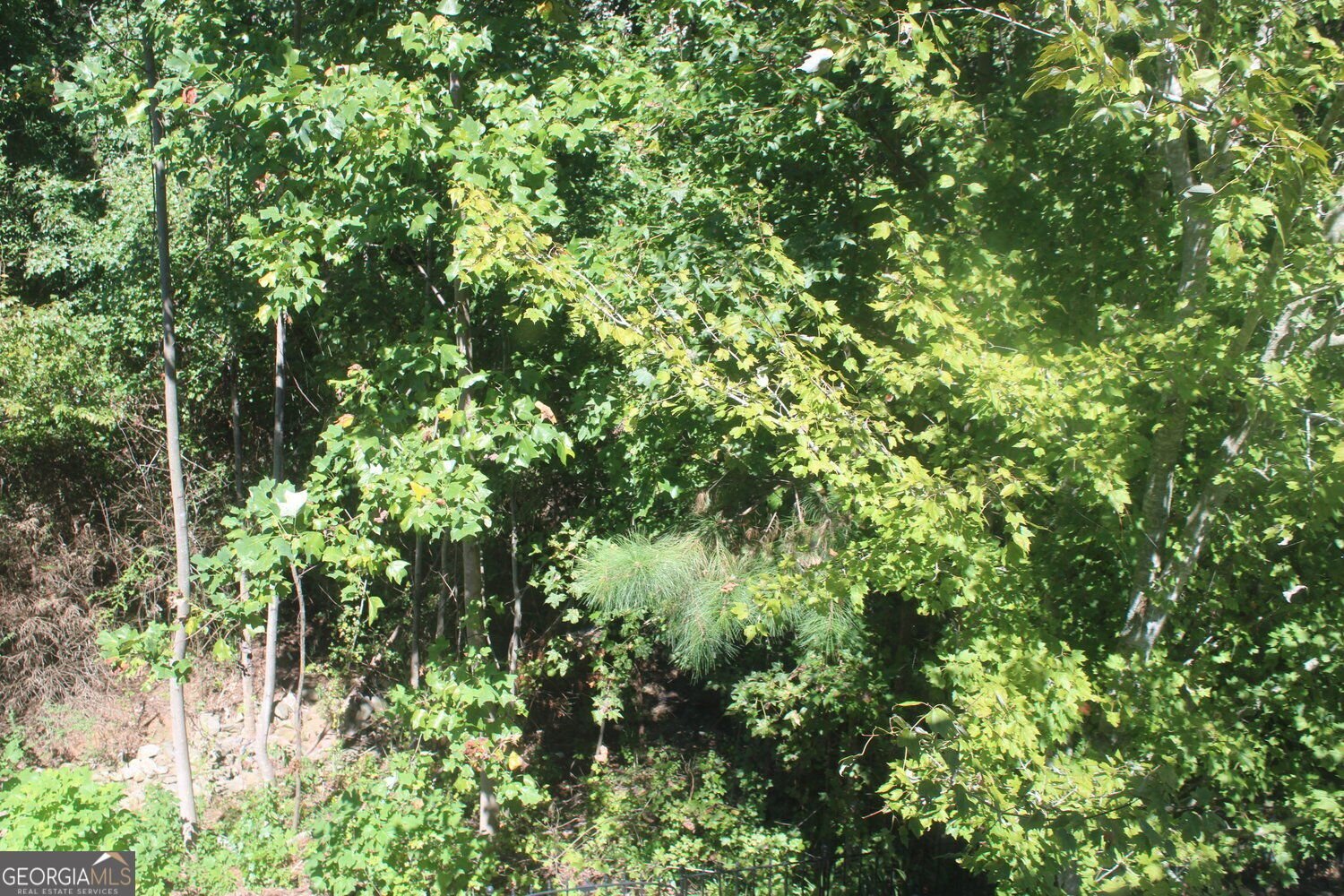 4289 Amberleaf Walk Lilburn - Photo 11