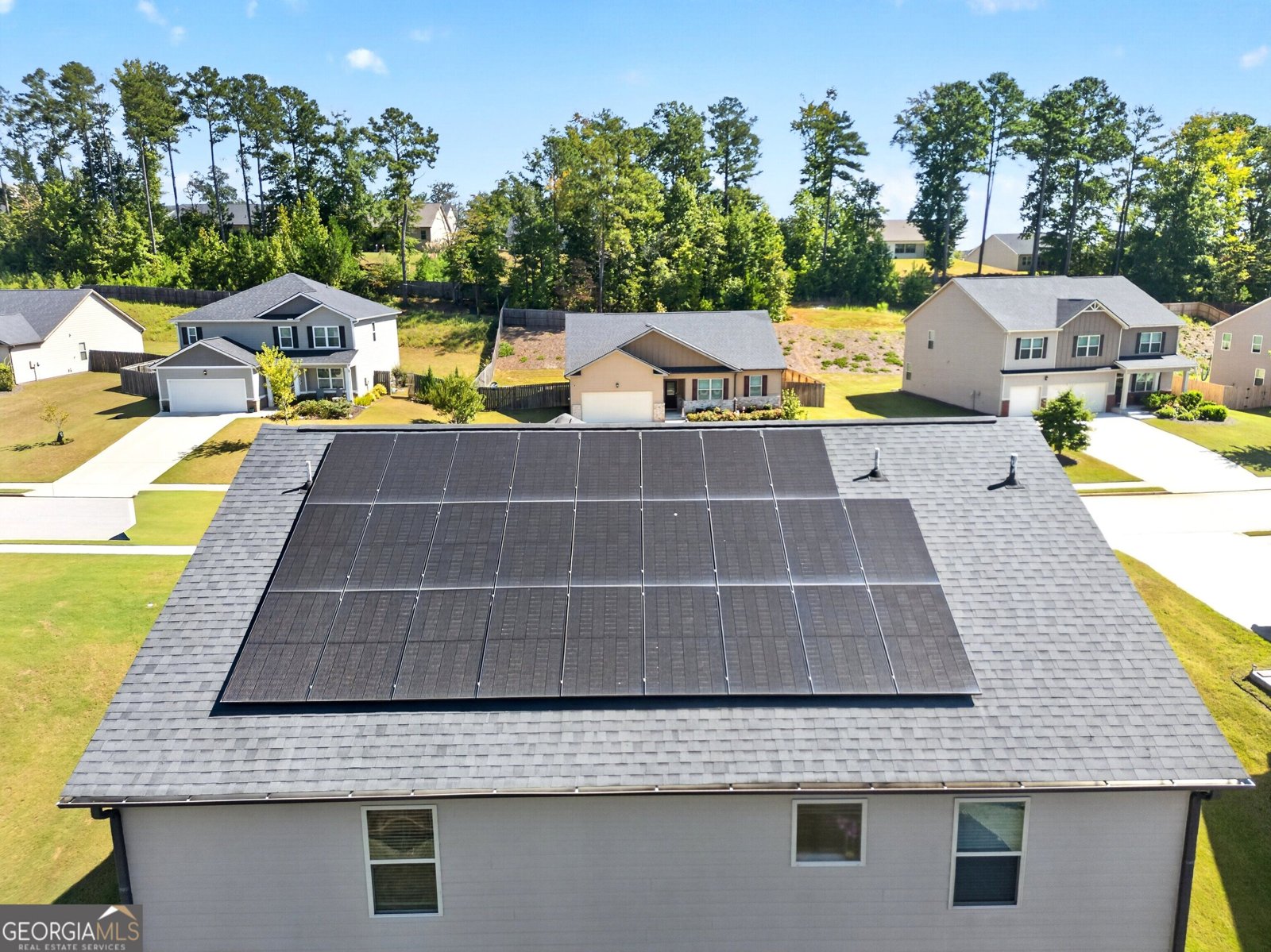 230 Blossom Wood Drive Senoia - Photo 58