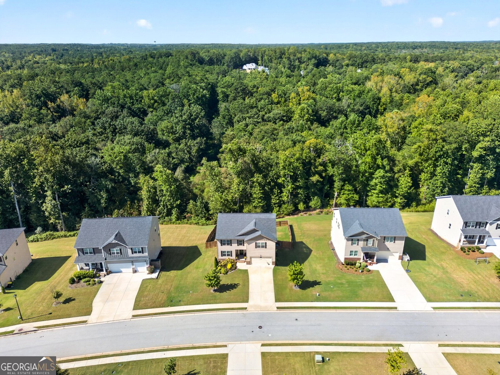 230 Blossom Wood Drive Senoia - Photo 62