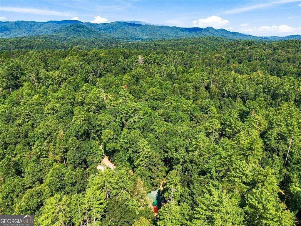 48 Twin Creeks Blue Ridge - Photo 23