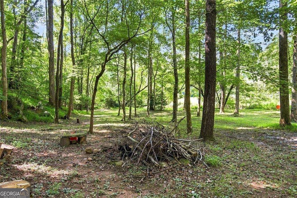 48 Twin Creeks Blue Ridge - Photo 39